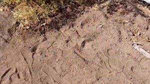 Площадка под баню.