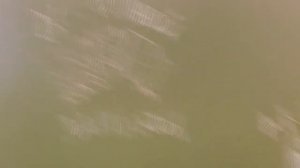 Поздравление с днем дошкольного работника!