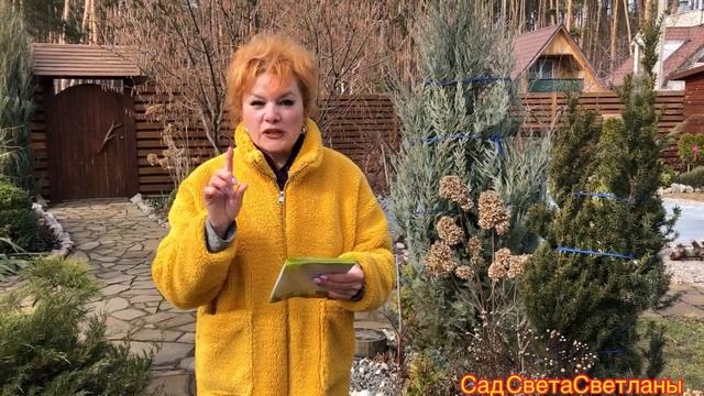 Обработка сада.Совет Профессионала.Какие препараты Выбрать.Сроки и Температура Обработки.Севооборот