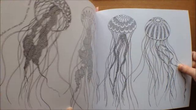 Animal Kingdom by Millie Marotta Colouring Book Flipthrough смотреть онлайн