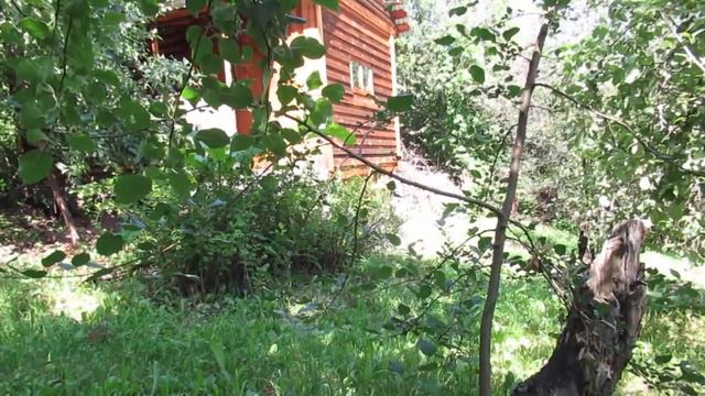 Ты - скрипки плач... смотреть онлайн