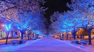 Unter den Linden (Quick March)