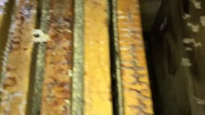 Канди для пчел.Февраль.