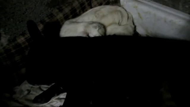 мама спит она устала смотреть онлайн