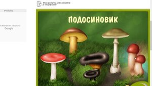 Игра про грибы для детей, дидактическая игра о грибах с картинками