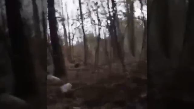 Курская область, работа 810 бригады МП смотреть онлайн