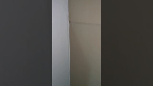 Аренда квартиры Airbnb Аргентина Буэнос-Айрес Поиск жилья Роды в Аргентине смотреть онлайн