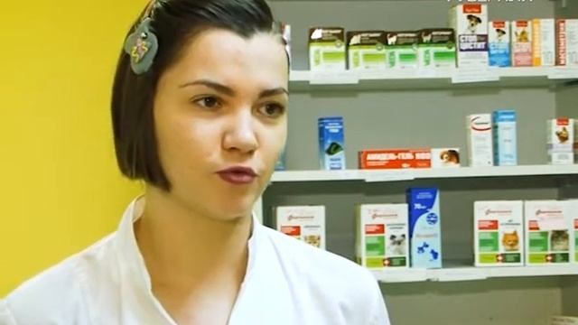 Лапы и хвост 16.04.2017. Как вырастить бабочек в домашних условиях смотреть онлайн