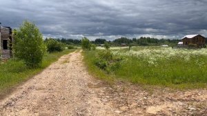 Вид на участок 2 Га с основной дороги