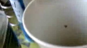 Jacobs Monarch: как приготовить кофе УРОК 1