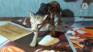 Обзор фигурок диких кошек (1 часть) ?✌