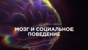Сериал "Мозг. Вторая Вселенная". Серия 3 - Мозг и социальное поведение