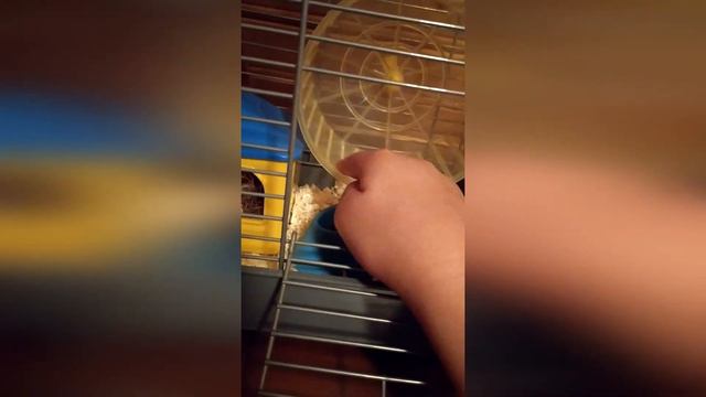 База отдыха "Рось" август 2020 2 часть смотреть онлайн