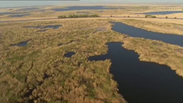 Blue Danube Black Sea - Go Wild смотреть онлайн