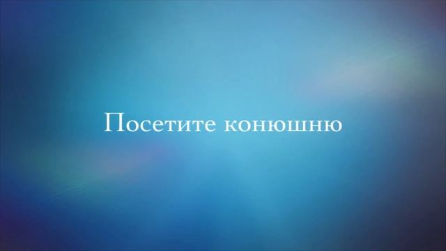 Экскурсии на Краснодарский ипподром смотреть онлайн