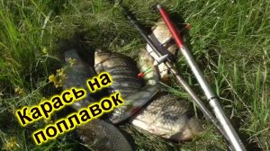 Ловля карася в июльскую жару