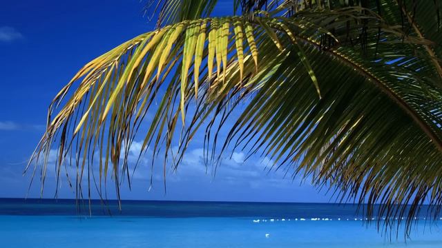 Dennis Sheperd & Alan Morris feat. Sue McLaren - I Die (Ferrin & Morris Remix) смотреть онлайн