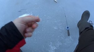 Безмотыльщик ПРОТИВ мотыля!Рыбалка закрытие сезона 2020,часть 2