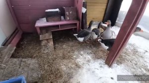 Московские Колхозники в деревне/ На ХОЗЯЙСТВЕ!