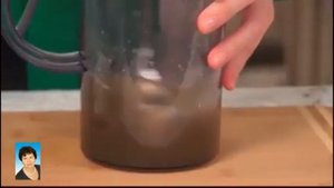 Коктейли из ламинарии