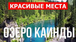 Озеро Каинды, Казахстан | Видео обзор в 4к с дрона | Озеро Каинды