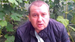 Выращивание чеснока. С чего начать?