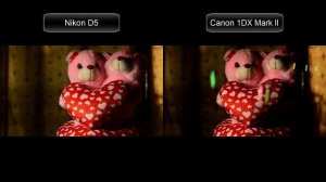 Nikon D5 vs Canon 1DX Mark II