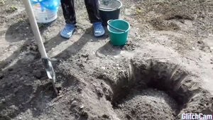 ПОСАДКА ПЕРСИКА РАННЕЙ ВЕСНОЙ 100% РОСТ.