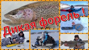 Ловим форель на льду. Зимняя рыбалка на Камчатке. Река Опала