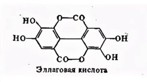 лапчатка белая