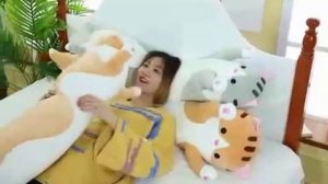 милые котики-подушки ?