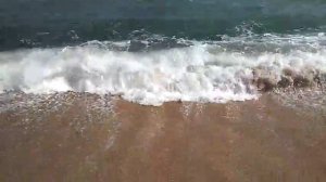 Золотой пляж Береговое Феодосия!