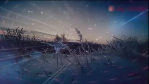 Волки Тоже Умеют Любить Вячеслав Сидоренко