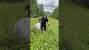 Сбор лекарственных растений