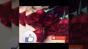 Ошикатам нозанин супер иранской пение ошики барои кули ошикои гариб