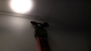 LED AR111 12W can not replace Halogen AR111 50W