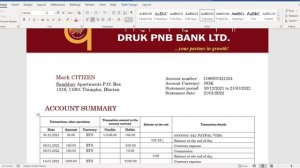 Bhutan Druk PNB banking statement template in Word and PDF format