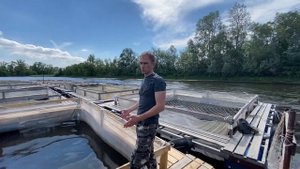 Садок (дель) для выращивания товарной рыбы.