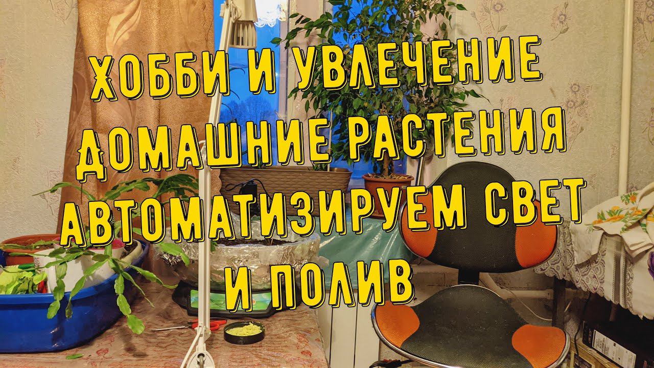 Домашние цветы, прокачка по максимуму, автоматизация света и полива.