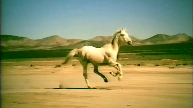 Madonna - Don't Tell Me [Backdrop Video - from Monitor 4'' DVD] - HQ смотреть онлайн