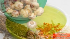Засолка Шампиньонов