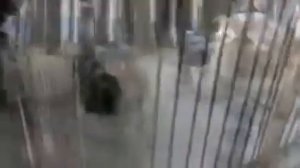 Чанги саг бо гург