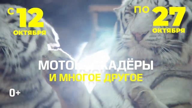 ЦИРК ДЕМИДОВЫХ В ЕГОРЬЕВСКЕ смотреть онлайн