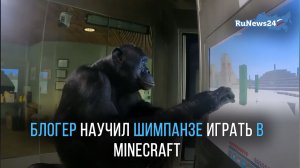 Блогер под ником ChrisDaCow научил шимпанзе играть в Minecraft