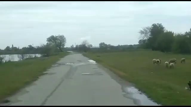 Субботник в КБР. Вирус нам не страшен смотреть онлайн