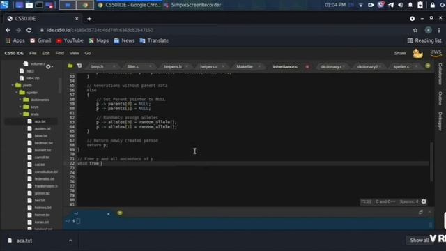 C Language: Simulating genetic inheritance of blood type in 1 Minute смотреть онлайн