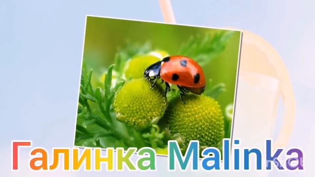Колесниковы /Слушайте, вы нормальные? /Обзор Влогов /7-Я Колесниковы /Деревенский дневник /