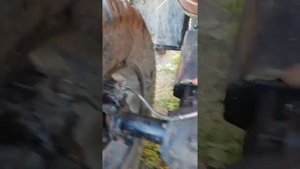 Ямаха Grizzly 250cc Выявленные минусы