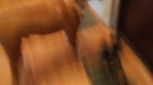 ЗЛОЙ ЛАЙ БОКСЕРА. ЗЛАЯ СОБАКА /ANGRY DOG