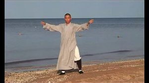 Шаолиньский комплекс "Ицзиньцзин"